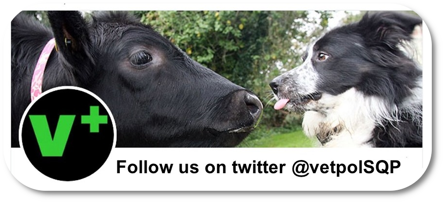 Cow and collie dog as shown on Vetpol Twitter page