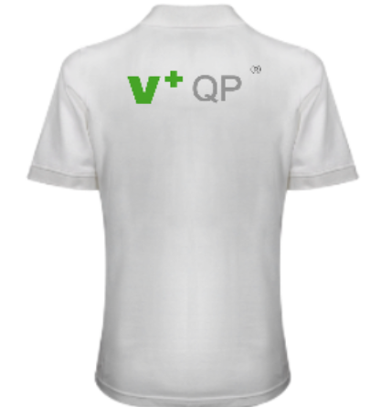 V+QP professional recognition for SQPs