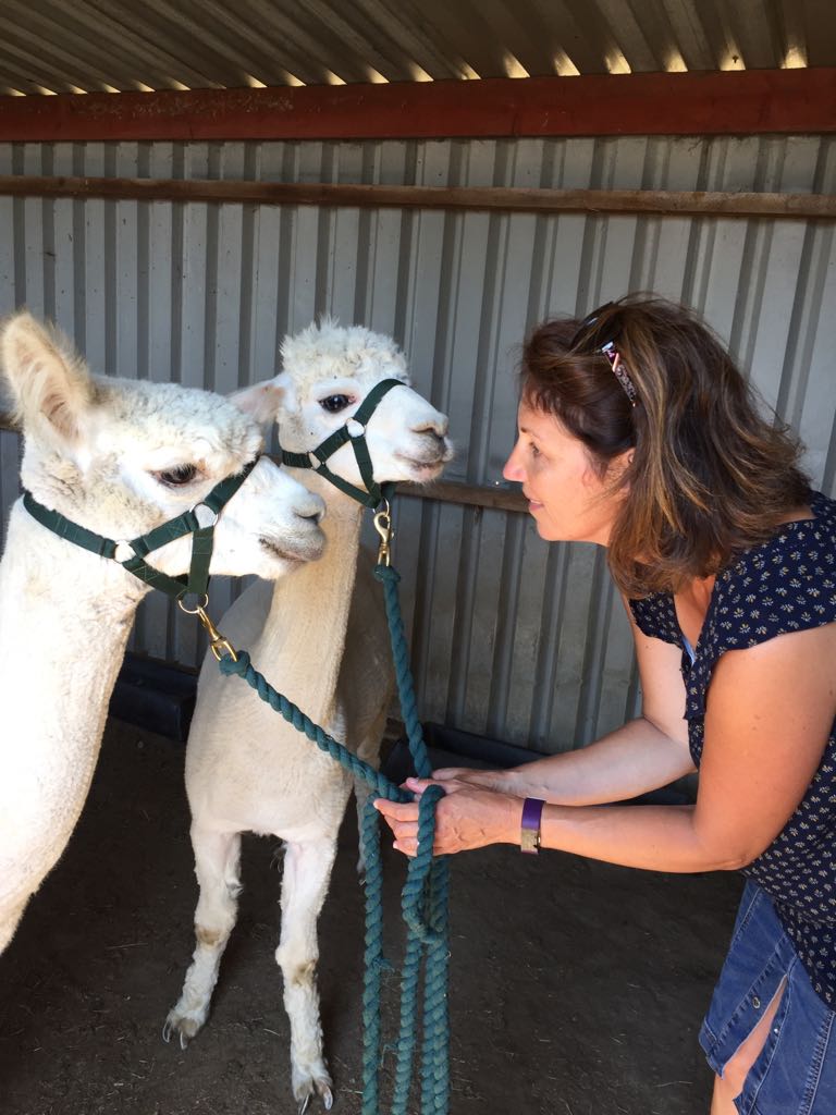 Lisa Giddings - member of the Vetpol team